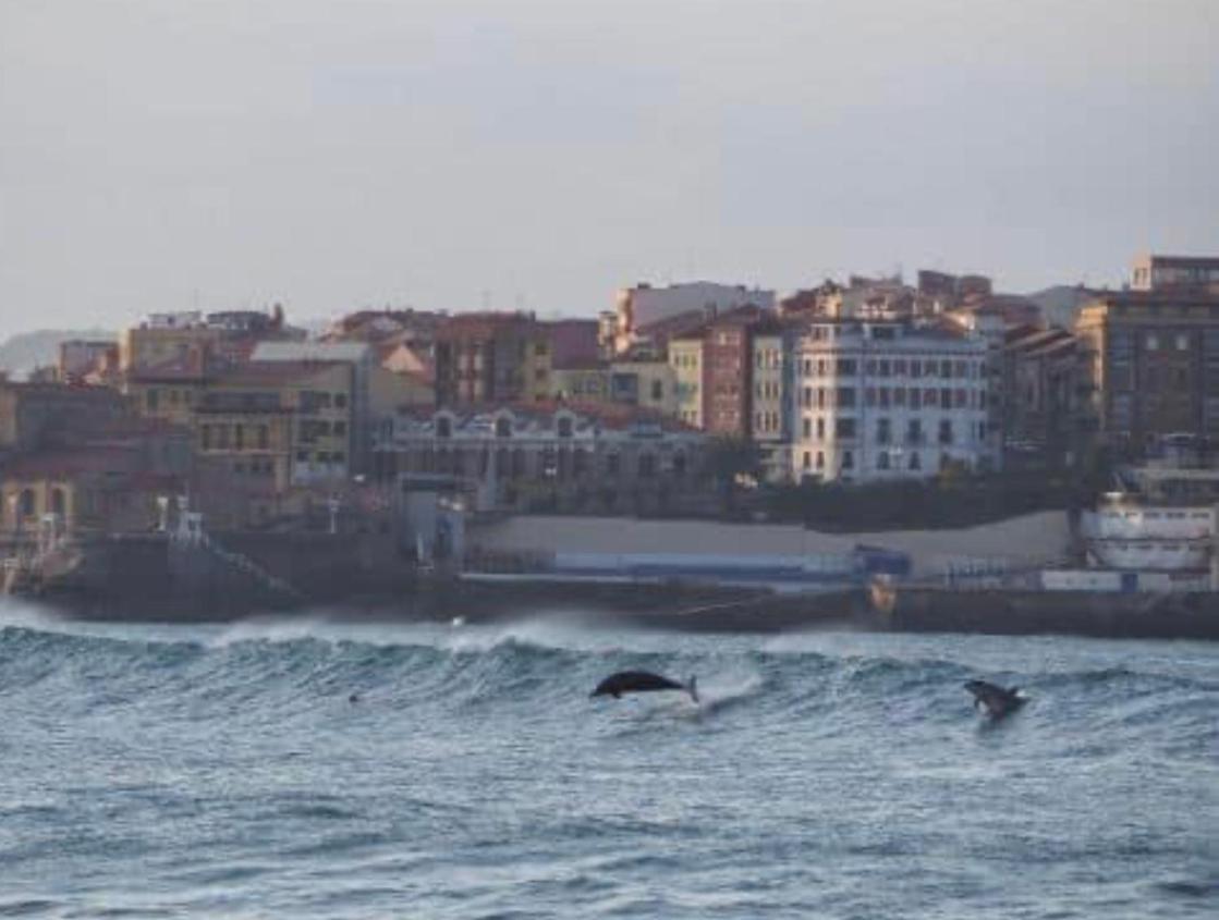 Alojamientos Muelle De Gijon Luaran gambar
